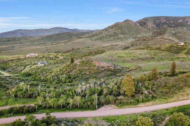 TBD04 Youngs Creek Way, Oak Creek, CO 80467