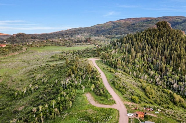 TBD04 Youngs Creek Way, Oak Creek, CO 80467