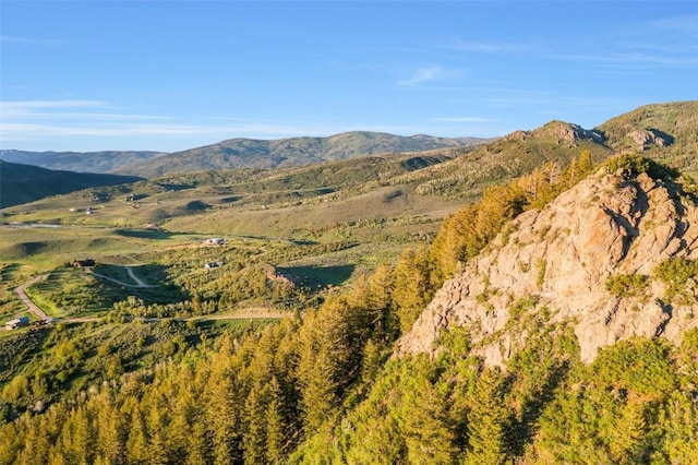 TBD04 Youngs Creek Way, Oak Creek, CO 80467