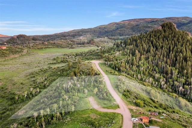 TBD04 Youngs Creek Way, Oak Creek, CO 80467