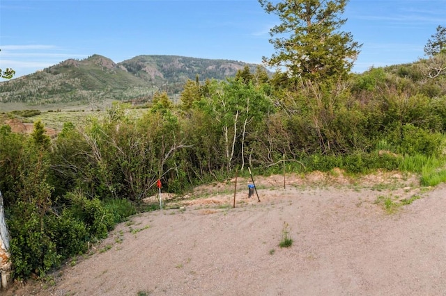 TBD04 Youngs Creek Way, Oak Creek, CO 80467