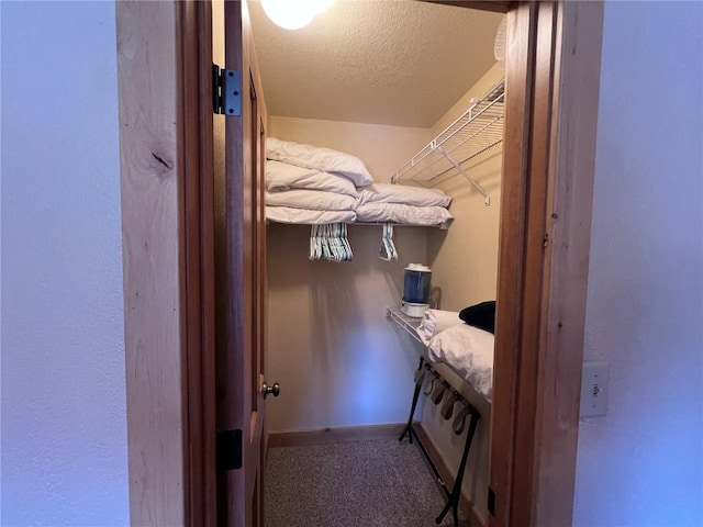 walk in closet featuring carpet floors