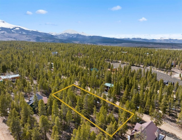 104 Juniper Dr, Twin Lakes, CO 80461 - photo 6