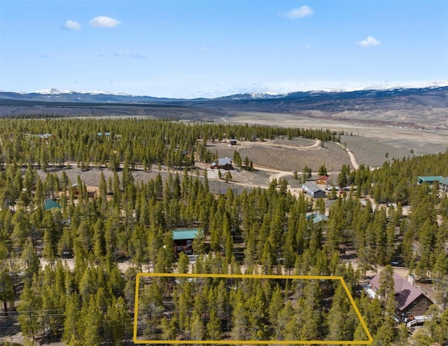 104 Juniper Dr, Twin Lakes, CO 80461 - photo 5
