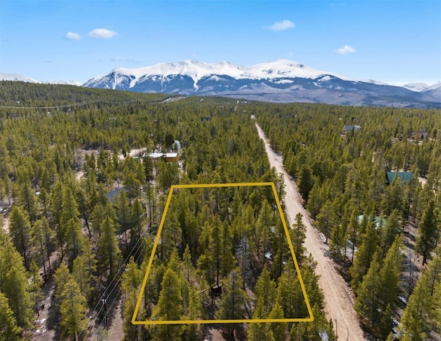 104 Juniper Dr, Twin Lakes, CO 80461 - photo 7