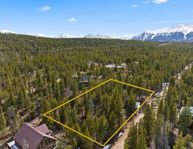 104 Juniper Dr, Twin Lakes, CO 80461 - photo 8