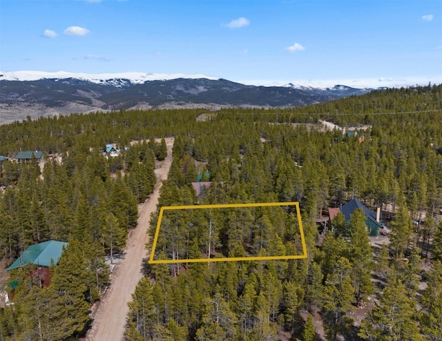 104 Juniper Dr, Twin Lakes, CO 80461 - photo 3