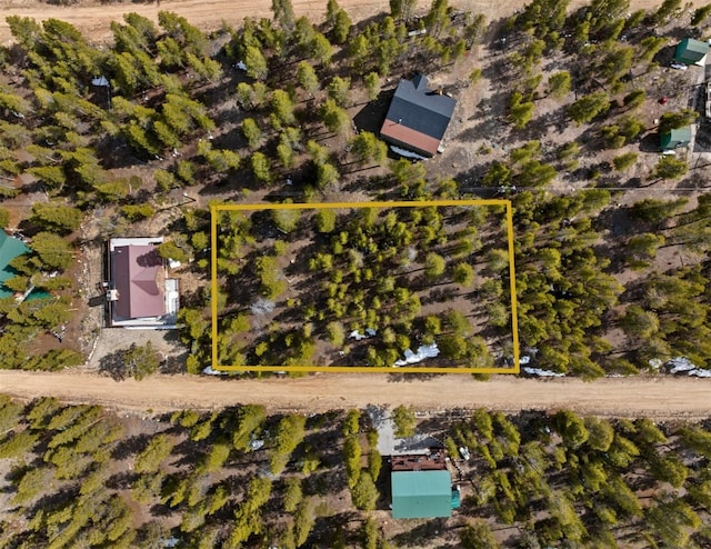104 Juniper Dr, Twin Lakes, CO 80461 - photo 10