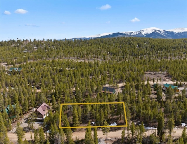 104 Juniper Dr, Twin Lakes, CO 80461 - photo 1