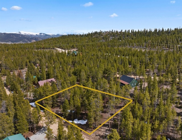 104 Juniper Dr, Twin Lakes, CO 80461 - photo 2