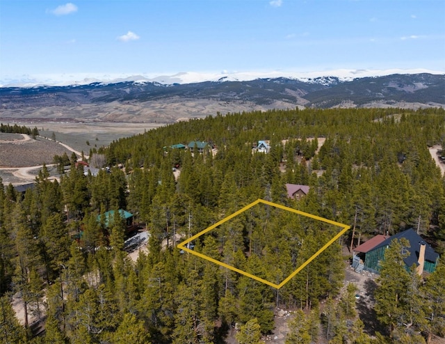 104 Juniper Dr, Twin Lakes, CO 80461 - photo 4