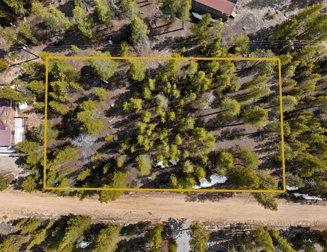 104 Juniper Dr, Twin Lakes, CO 80461 - photo 9