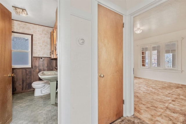 401 Moffat Ave, Oak Creek, CO 80467 - bathroom with toilet and wood walls