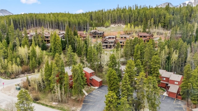 876 Broken Lance Dr Unit 876, Breckenridge, CO 80424 - aerial view of a heavily wooded area