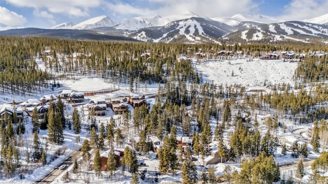 876 Broken Lance Dr Unit 876, Breckenridge, CO 80424 - photo 35