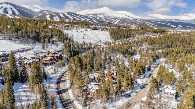 876 Broken Lance Dr Unit 876, Breckenridge, CO 80424 - mountain view
