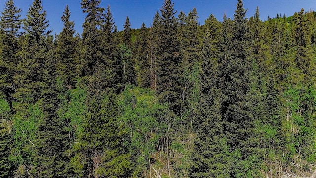275 Mine Dump Rd, Alma, CO 80420