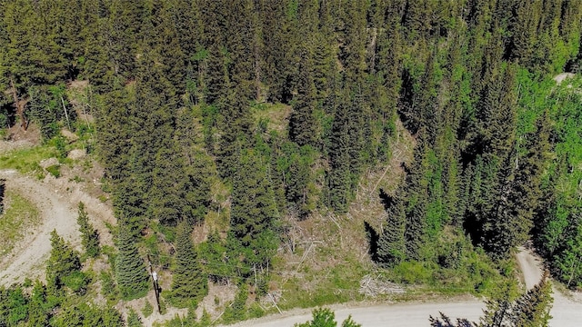 275 Mine Dump Rd, Alma, CO 80420