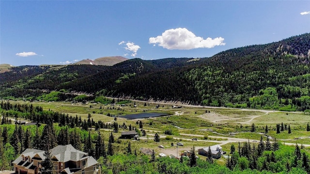 275 Mine Dump Rd, Alma, CO 80420