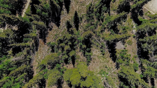 275 Mine Dump Rd, Alma, CO 80420