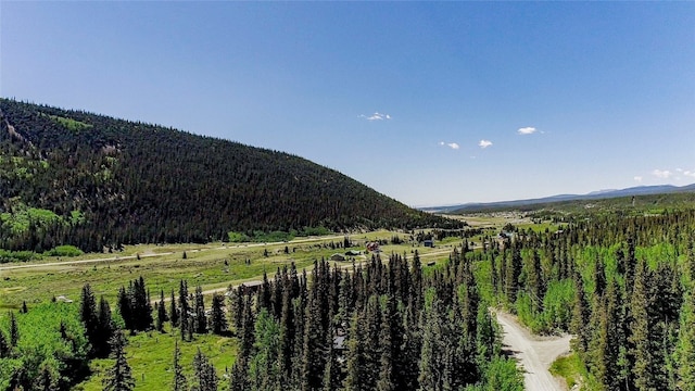275 Mine Dump Rd, Alma, CO 80420