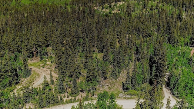 275 Mine Dump Rd, Alma, CO 80420