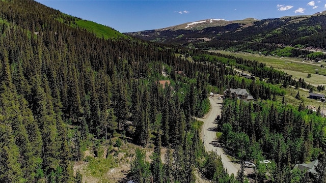 275 Mine Dump Rd, Alma, CO 80420