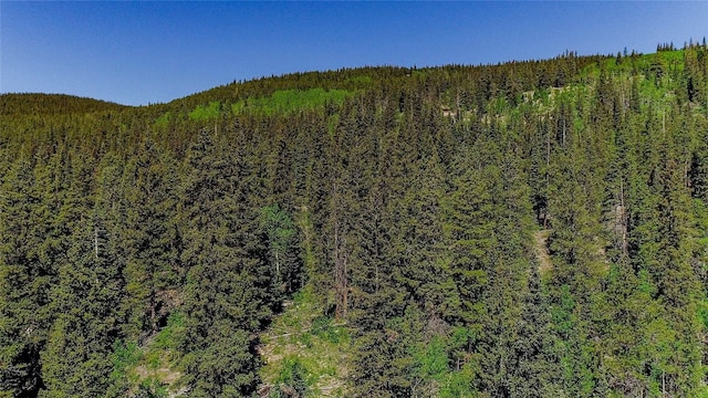 275 Mine Dump Rd, Alma, CO 80420