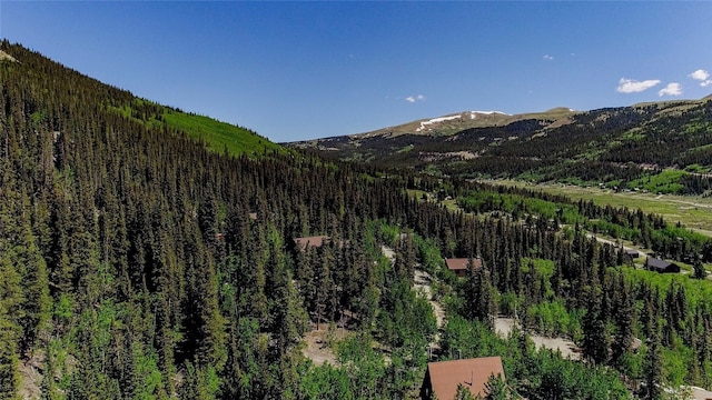 275 Mine Dump Rd, Alma, CO 80420