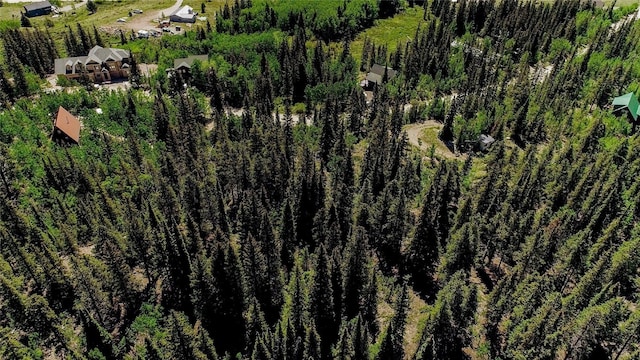 275 Mine Dump Rd, Alma, CO 80420