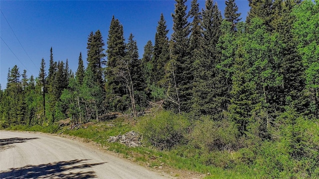 275 Mine Dump Rd, Alma, CO 80420