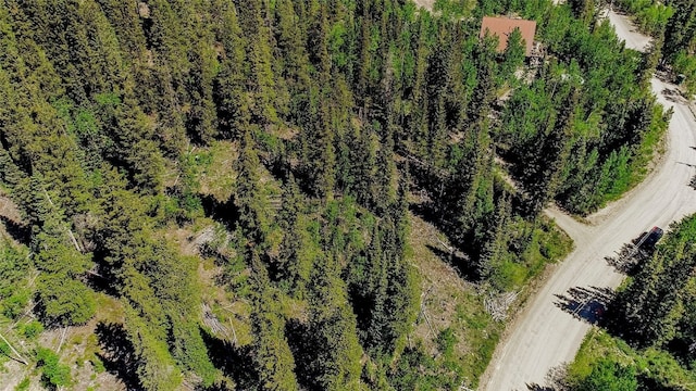 275 Mine Dump Rd, Alma, CO 80420