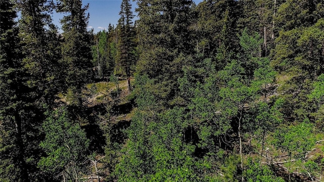 275 Mine Dump Rd, Alma, CO 80420