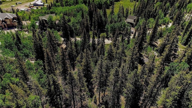 275 Mine Dump Rd, Alma, CO 80420