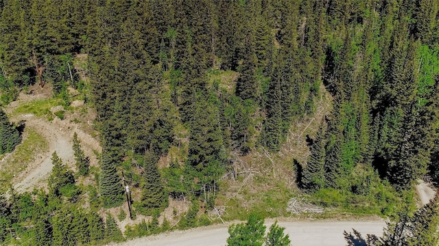 275 Mine Dump Rd, Alma, CO 80420