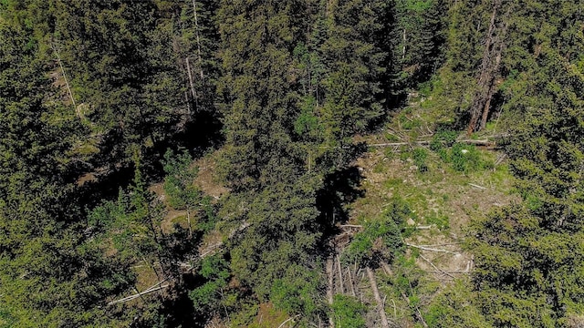275 Mine Dump Rd, Alma, CO 80420