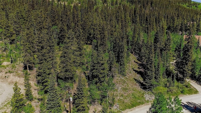 275 Mine Dump Rd, Alma, CO 80420