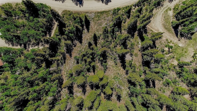 275 Mine Dump Rd, Alma, CO 80420