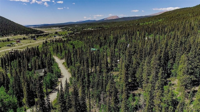 275 Mine Dump Rd, Alma, CO 80420