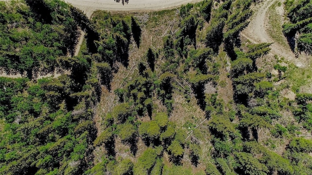 275 Mine Dump Rd, Alma, CO 80420