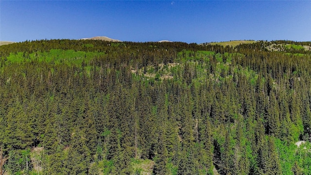 275 Mine Dump Rd, Alma, CO 80420
