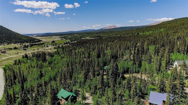 275 Mine Dump Rd, Alma, CO 80420