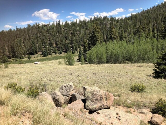 1135 Swiggler Rd, Jefferson, CO 80456