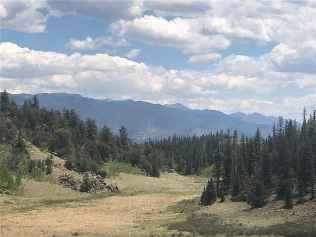 1135 Swiggler Rd, Jefferson, CO 80456