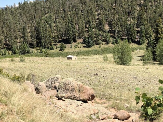 1135 Swiggler Rd, Jefferson, CO 80456