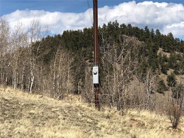 1135 Swiggler Rd, Jefferson, CO 80456