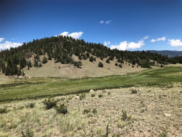 1135 Swiggler Rd, Jefferson, CO 80456