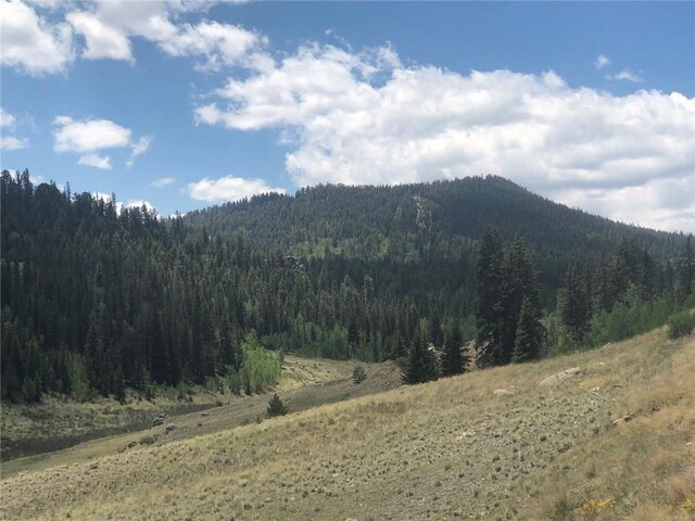 1135 Swiggler Rd, Jefferson, CO 80456