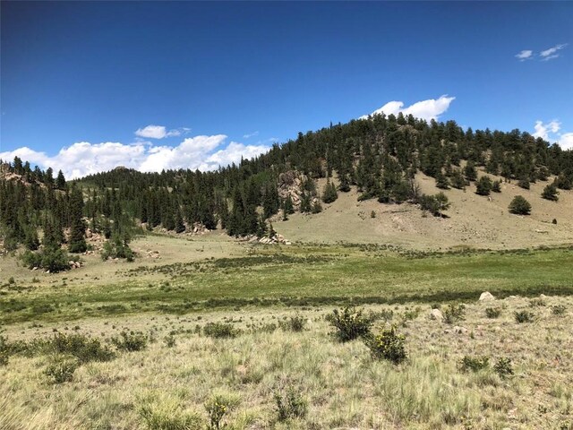 1135 Swiggler Rd, Jefferson, CO 80456