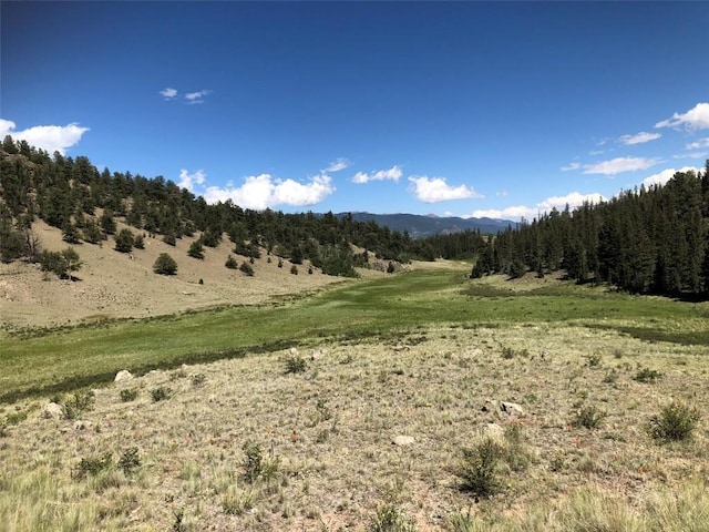 1135 Swiggler Rd, Jefferson, CO 80456